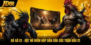 Đá Gà C1 - Bật Mí Điểm Hấp Dẫn Của Các Trận Đấu C1